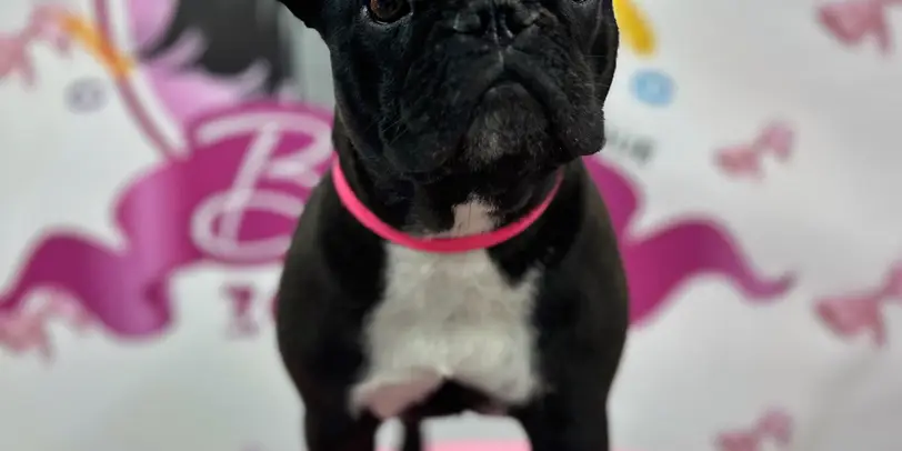 Betty photo 118