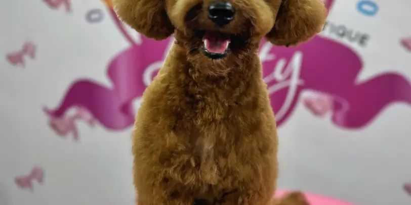 Betty photo 124