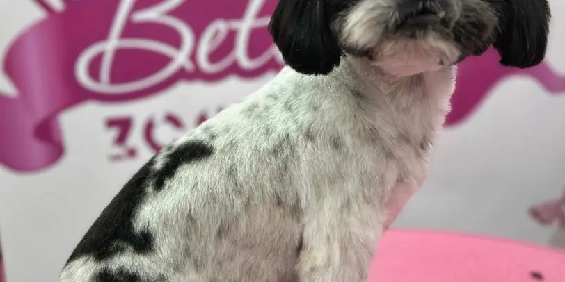 Betty photo 127