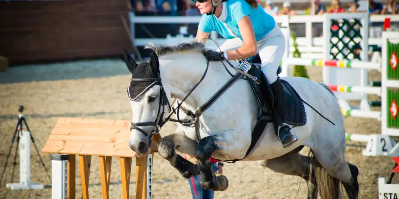White Stable photo 4