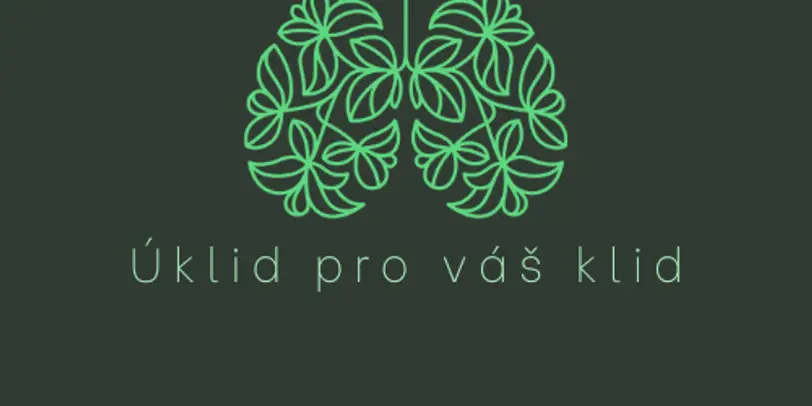 Uklid pro váš klid photo 1