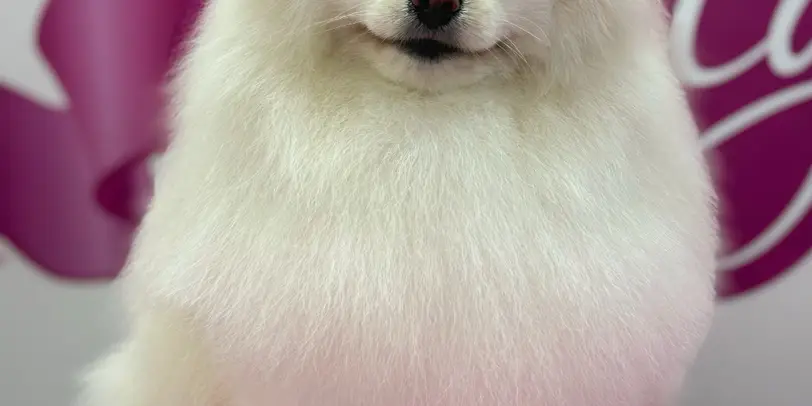 Betty photo 166
