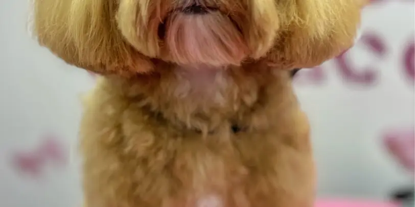 Betty photo 160
