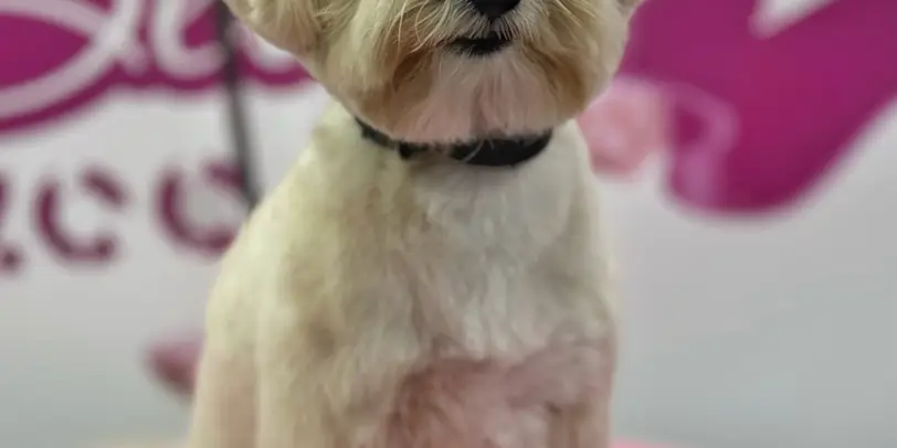 Betty photo 169