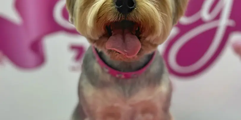 Betty photo 175