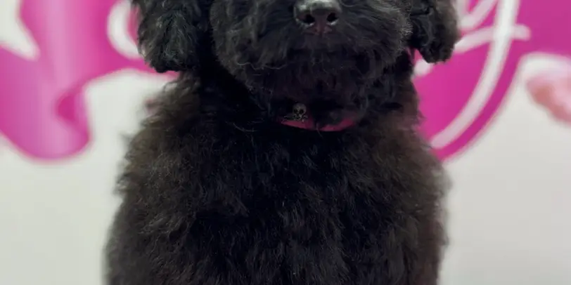 Betty photo 187
