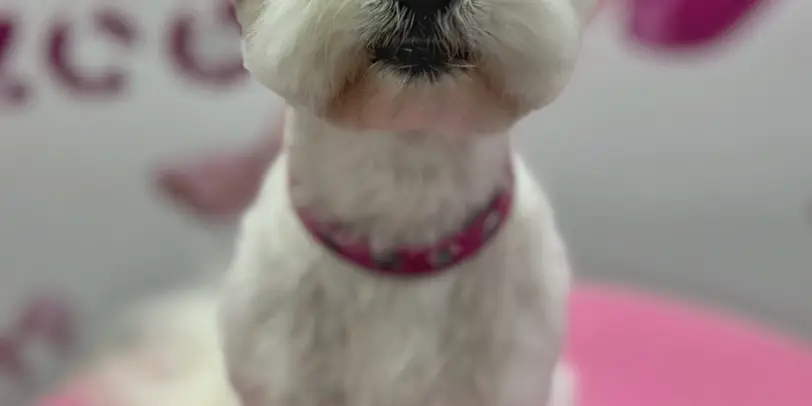 Betty photo 184