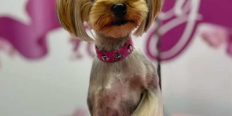 Betty photo 193