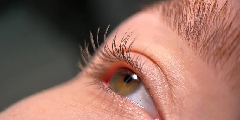 kmiets brows & lashes photo 4