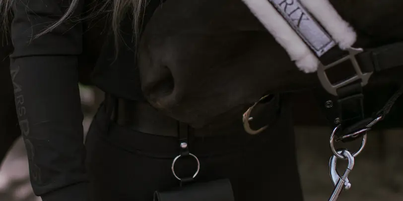 Shewchuk Stable photo 13