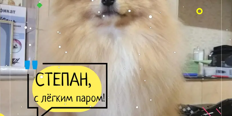 Красунчик photo 7
