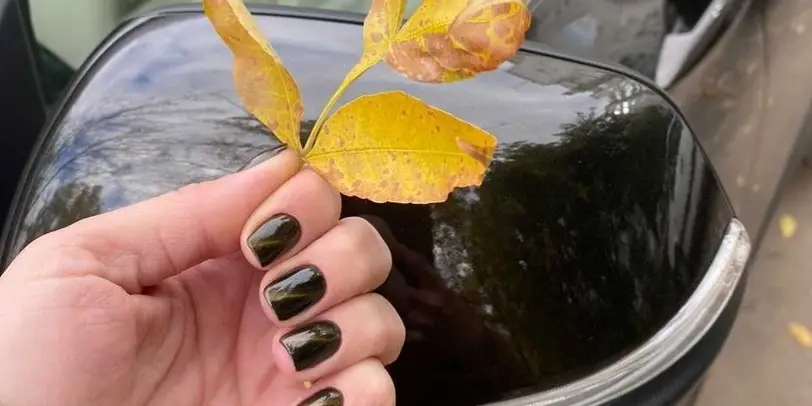 O.P.nails by Olga Pinchuk photo 25