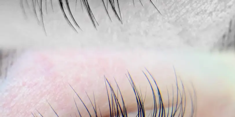 Brows & Lashes photo 4