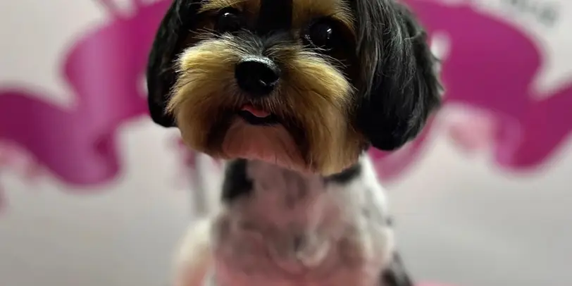 Betty photo 73