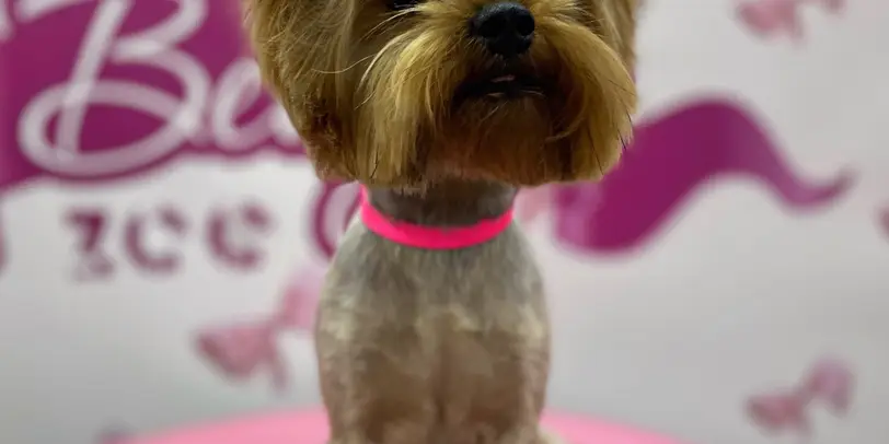 Betty photo 79