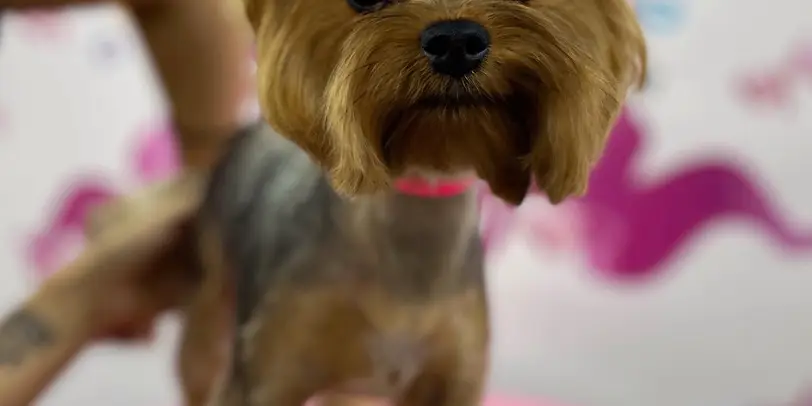 Betty photo 82