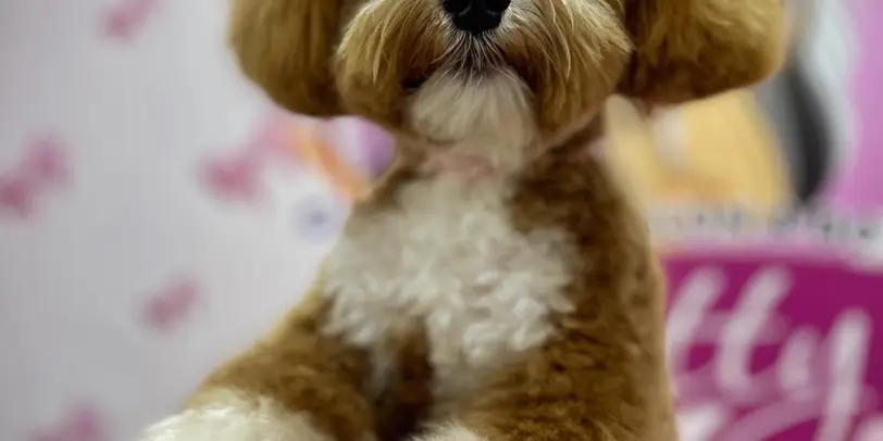 Betty photo 85