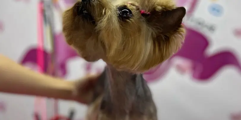 Betty photo 10