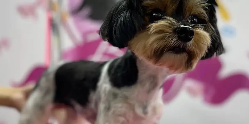Betty photo 7