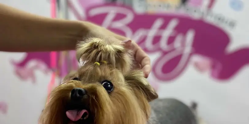 Betty photo 22
