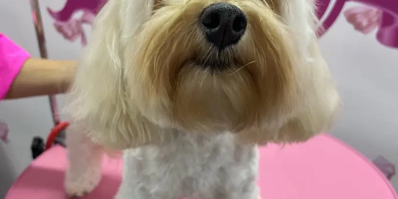 Betty photo 25