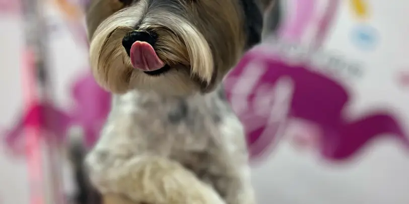 Betty photo 40