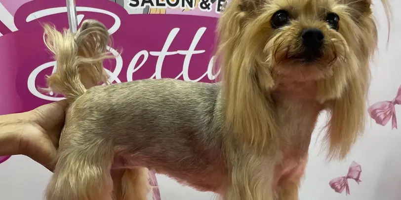 Betty photo 67