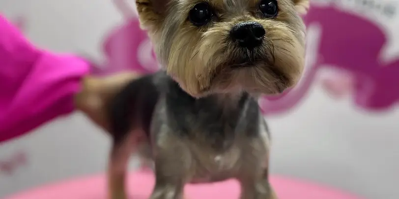 Betty photo 70