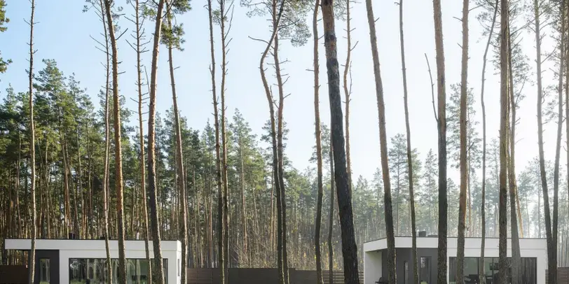 Scandi Club photo 1