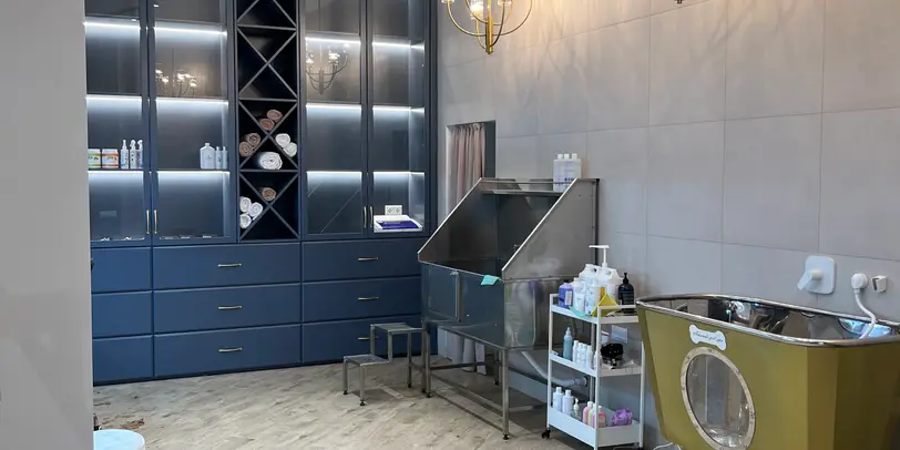 Amanda Pet’s Spa photo 4