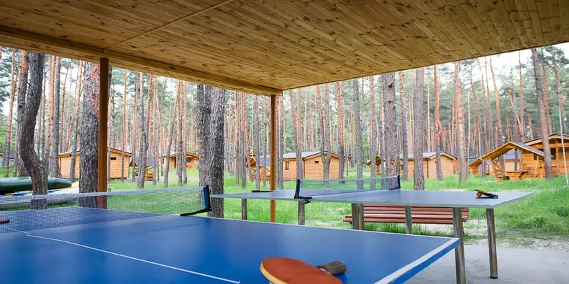 База відпочинку Еко-Десна photo 7
