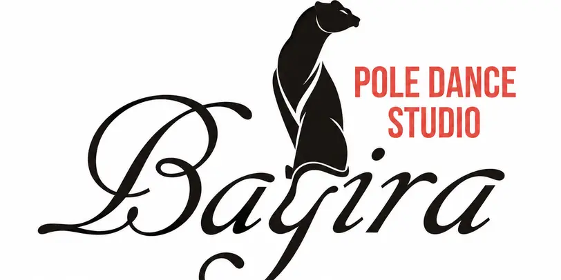 Pole Dance Studio Bagira photo 1
