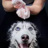 Baño+uñas (razas grandes 13-35 kg)