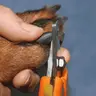 Corte de uñas