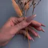 Корекція нарощування