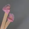 Ніс