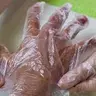 Спа перчатки ( процедура )