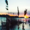 Консультація офлайн