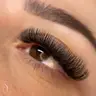 Light Volume