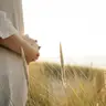 Babybauchfotos