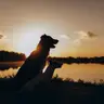 Сімейний (ПЕРЕДПЛАТА)
