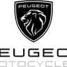 Peugeot sonstige Modelle 50-500ccm Jahresinspektion