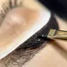 Hybrid Brows