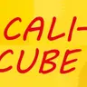 Zoom-Termin für deinen CALI-CUBE