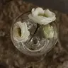 Зйомка 3 години