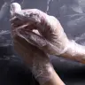 Spa рукавиці