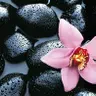 Hot Stone Massage