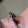Wow 🔥 ( Вії та брови )