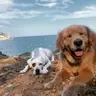 Einzeltraining