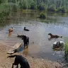 Social Walk
